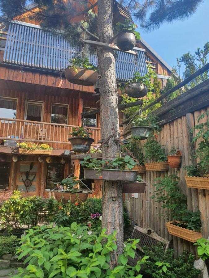 Zbojnickie Izby Apartment Zakopane Ngoại thất bức ảnh