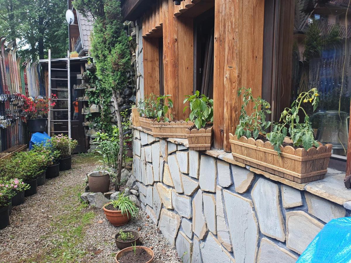 Zbojnickie Izby Apartment Zakopane Ngoại thất bức ảnh
